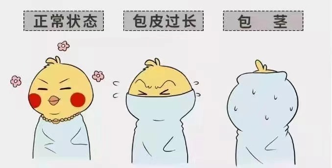 齐齐哈尔包皮包茎乐动网站-乐动(中国)一站式服务官方网站
